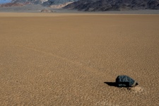 "Moving Rocks At The Race Track"