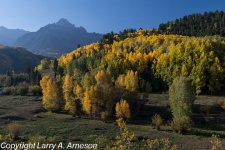 ridgeway-colorado-80