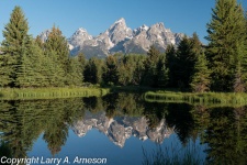 schwabacher-landing-2-2