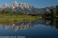 schwabacher-landing-2-23