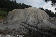 mammoth-hot-springs-113