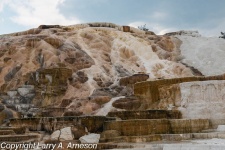 mammoth-hot-springs-33